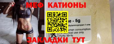 индика Дубна