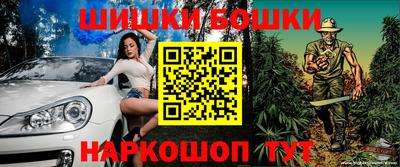 индика Дубна