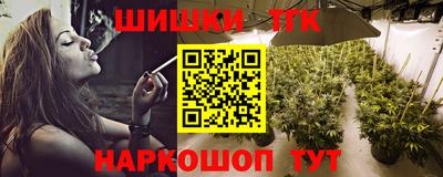 индика Дубна