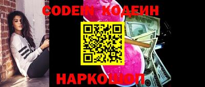 индика Дубна